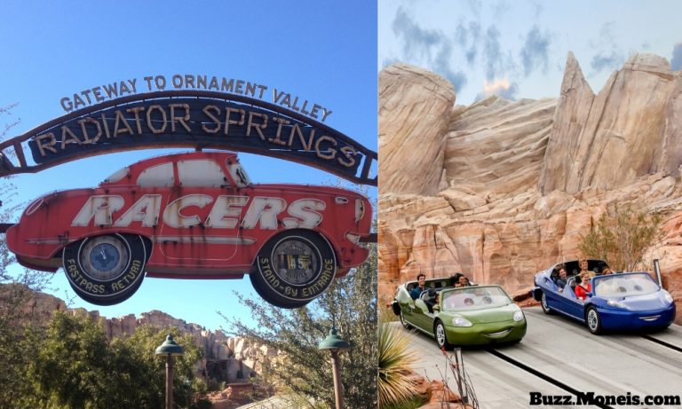 3. Radiator Springs Racers – Disney’s California Adventure, California